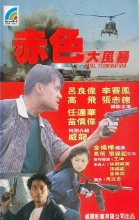 obal VHS filmu Chik sik daai fung bo